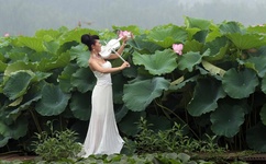 日本道专区无码中文字幕